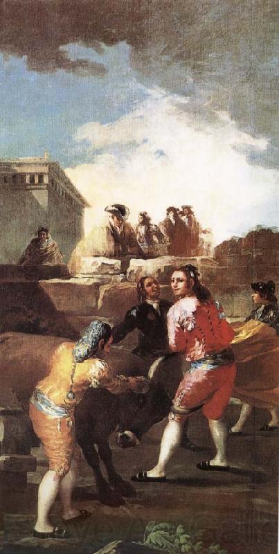 Francisco Goya La Novillada Norge oil painting art